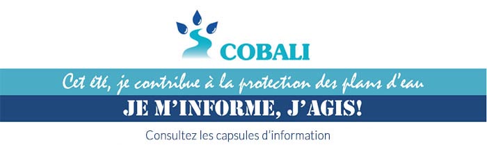 environnement cobali bandeau capsules 2019