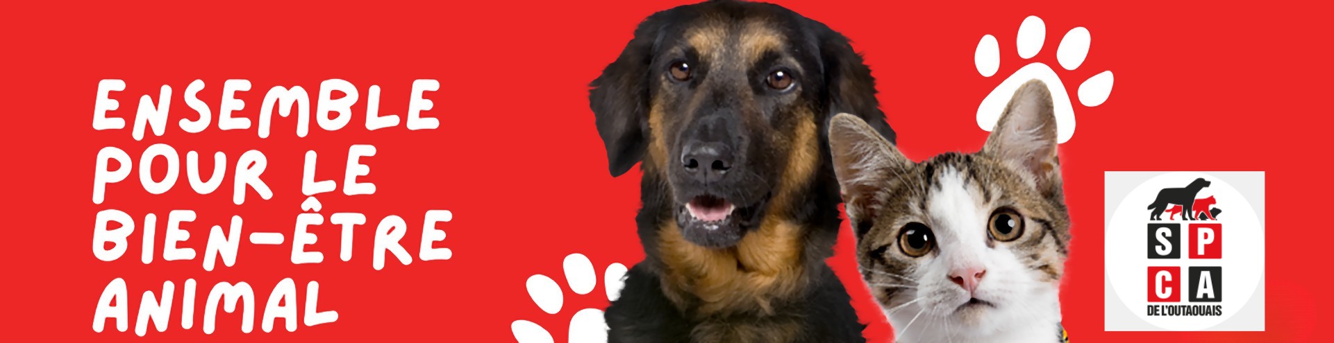 bandeau spca lsm logo