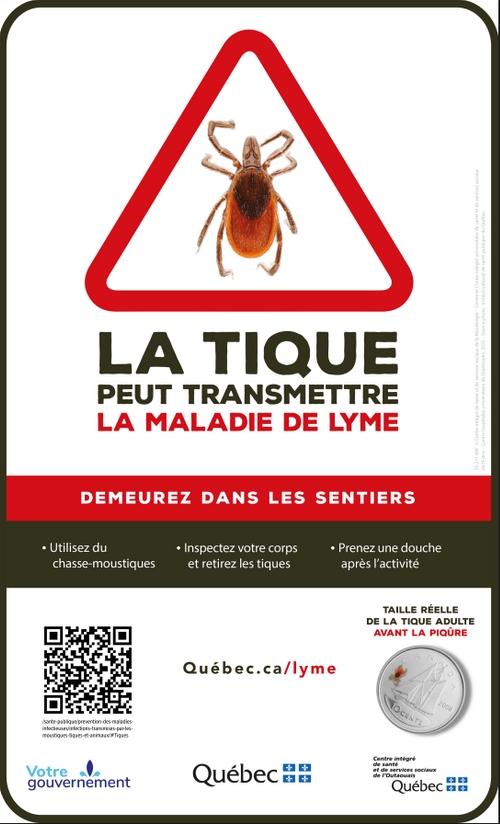 maladie lyme tiques 2026